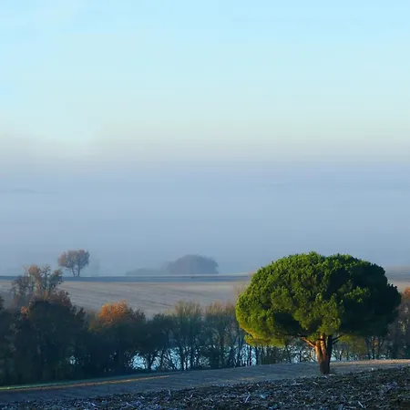 Nyaraló La Petite Maison Dans Le Gers *
